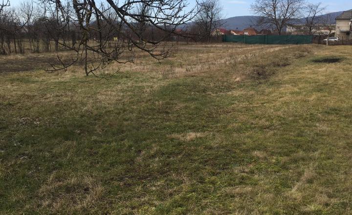 Pozemok na PREDAJ v Uľanoch nad Žitavou